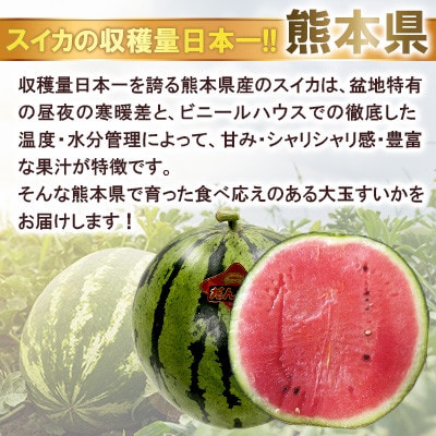 【2026年発送分先行予約】【数量限定】大玉 西瓜 2玉入り (1玉約8kg以上×2玉)(合志市)