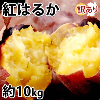 訳あり紅はるか 約10kg(合志市)