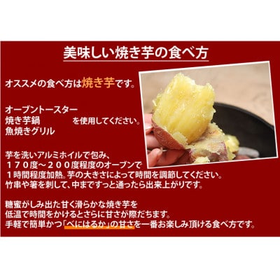 訳あり紅はるか 約10kg(合志市)