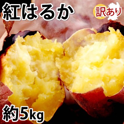 訳あり紅はるか 約5kg(合志市)