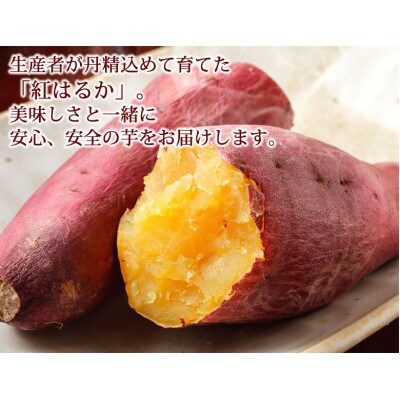 訳あり紅はるか 約5kg(合志市)