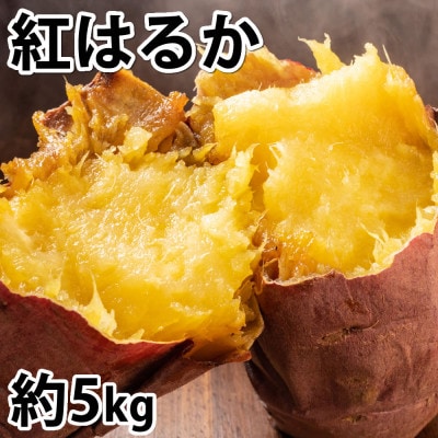 紅はるか 秀品(約5kg)(合志市)