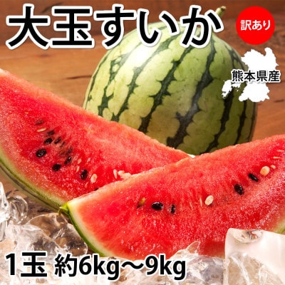 訳あり大玉すいか 1玉(約6kg～9kg)【2026年5月下旬より順次発送予定】(合志市)