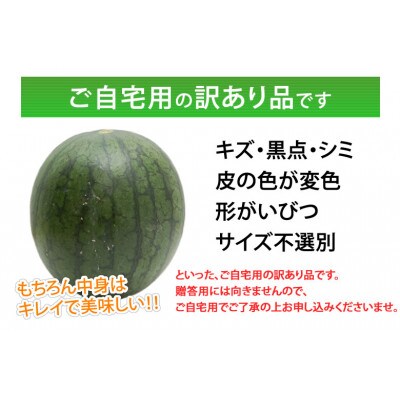 訳あり大玉すいか 1玉(約6kg～9kg)【2026年5月下旬より順次発送予定】(合志市)