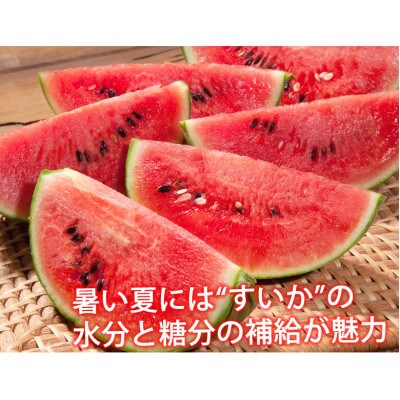 訳あり大玉すいか 1玉(約6kg～9kg)【2026年5月下旬より順次発送予定】(合志市)