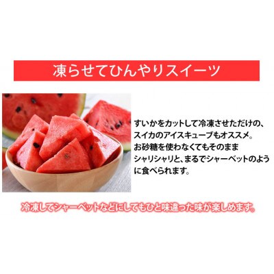訳あり大玉すいか 1玉(約6kg～9kg)【2026年5月下旬より順次発送予定】(合志市)