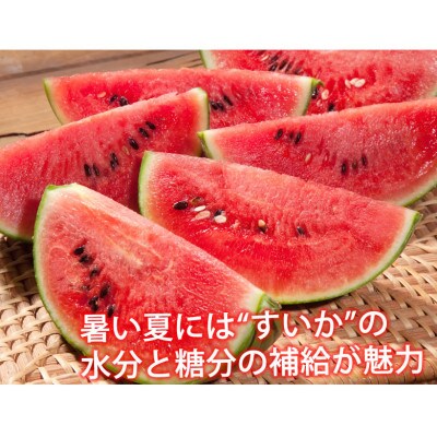 大玉すいか 秀品 1玉(約6kg～9kg)【2026年5月下旬より順次発送予定】 (合志市)