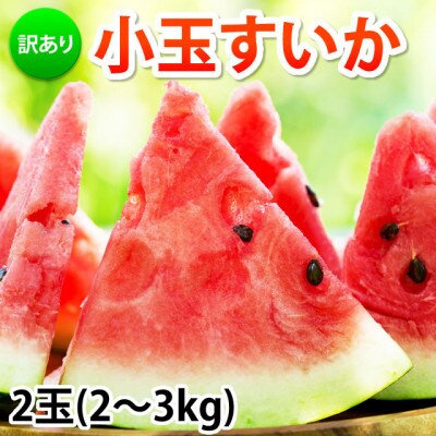 訳あり 小玉すいか 2玉 約2～3kg【2026年5月下旬～7月下旬発送予定】(合志市)