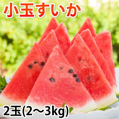 小玉すいか 秀品 2玉 約2～3kg【2026年5月下旬～7月下旬発送予定】 (合志市)