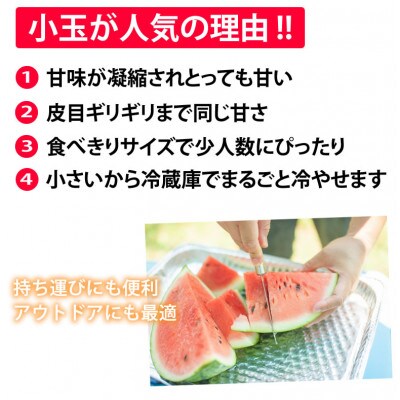 小玉すいか 秀品 2玉 約2～3kg【2026年5月下旬～7月下旬発送予定】 (合志市)