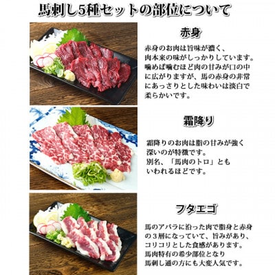 馬刺し 5種 盛り合わせセット 250g 熊本直送(合志市)