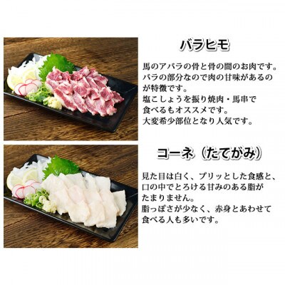 馬刺し 5種 盛り合わせセット 250g 熊本直送(合志市)