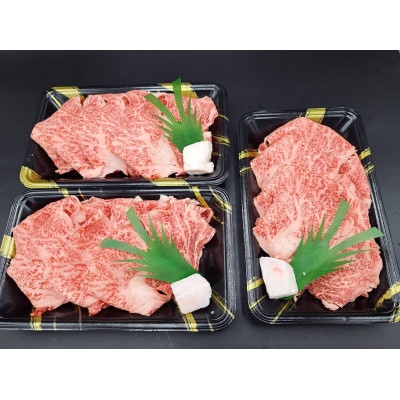 熊本県産A5等級黒毛和牛和王 肩ローススライス 約200g×3P 計約600g(合志市)