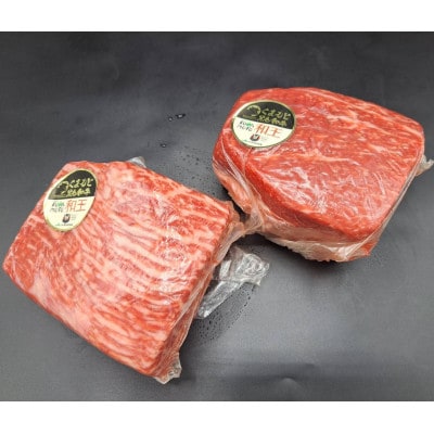 熊本県産A5等級黒毛和牛和王 赤身ブロック 約500g×2P 計約1kg(合志市)