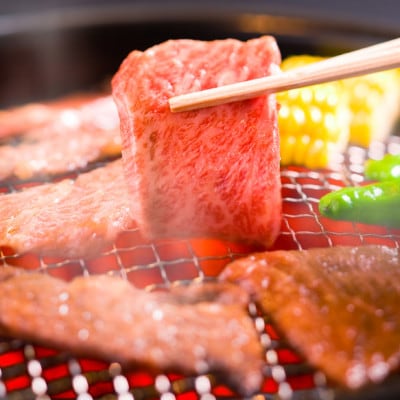 熊本県産A5等級黒毛和牛和王 柔らか赤身焼肉 約300g×4P 計約1.2kg(合志市)