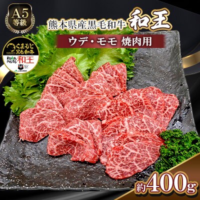熊本県産A5等級黒毛和牛和王 ウデ・モモ 焼肉用 約400g(合志市)