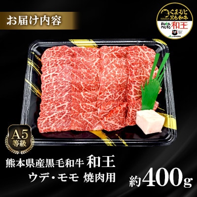 熊本県産A5等級黒毛和牛和王 ウデ・モモ 焼肉用 約400g(合志市)