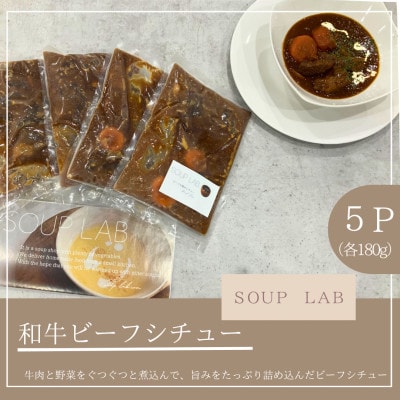 湯せんで簡単!黒毛和牛ビーフシチュー　5個セット(各180g)計約900g 【SOUP LAB】