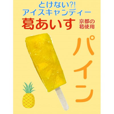 葛アイス 【パイン】8本(各80g)