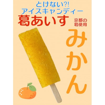 葛アイス 【みかん】8本(各80g)