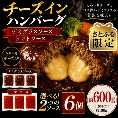 【さとふる限定】2種のソース チーズインハンバーグ  6個(合志市)