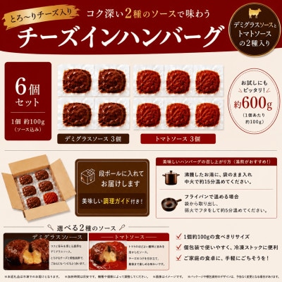 【さとふる限定】2種のソース チーズインハンバーグ  6個(合志市)