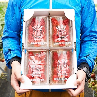 松田さん家のイチゴ【紅ほっぺ200g×4パック】