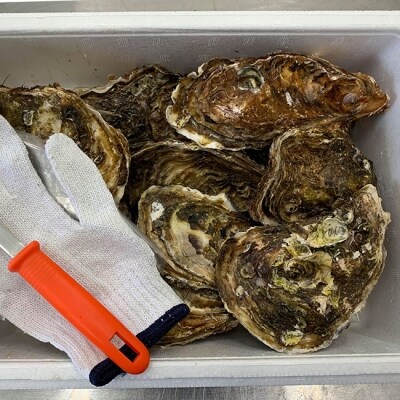 マルテン水産の殻付き牡蠣15個