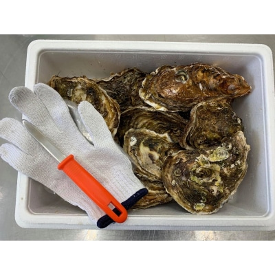 マルテン水産の殻付き牡蠣 15個 【 生食用 かき カキ 三陸産 】