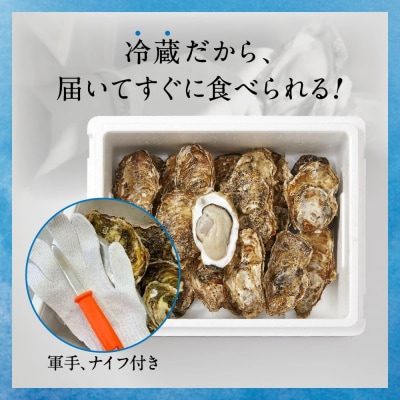 マルテン水産の殻付き牡蠣 15個 生食用 かき カキ 生牡蠣 三陸産 旬 料理