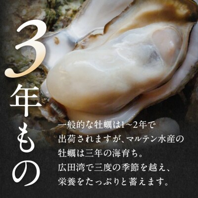 マルテン水産の殻付き牡蠣 30個 生食用 かき カキ 生牡蠣 三陸産 大容量 業務用