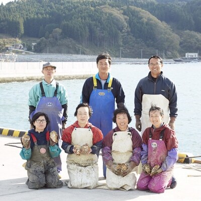 【訳あり規格外品】三陸広田湾の殻付き牡蠣20個