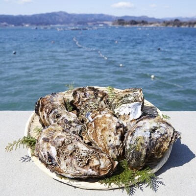 【訳あり規格外品】三陸広田湾の殻付き牡蠣20個