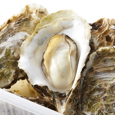 レンジで簡単蒸し牡蠣15個セット 〈殻付き牡蠣 Sサイズ10個 Mサイズ5個〉