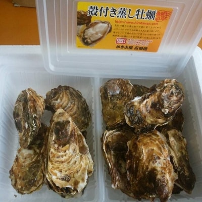 レンジで簡単蒸し牡蠣15個セット 〈殻付き牡蠣 Sサイズ10個 Mサイズ5個〉