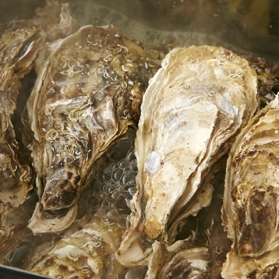 牡蠣のガンガン焼き殻付き10個セット 牡蠣 かき カキ 浜焼き 