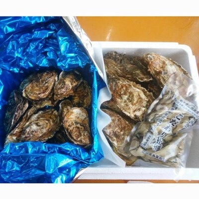 かき小屋気分で牡蠣三昧セット 〈殻付き牡蠣10個/殻付き牡蠣大サイズ5個/むき身牡蠣500g〉