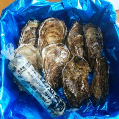 牡蠣のガンガン焼きとむき身セット〈殻付き牡蠣8個&むき身牡蠣150g〉