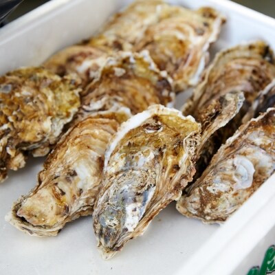 広田湾漁協からお届け 殻付かき 生食用 Lサイズ10個 お礼品詳細 ふるさと納税なら さとふる