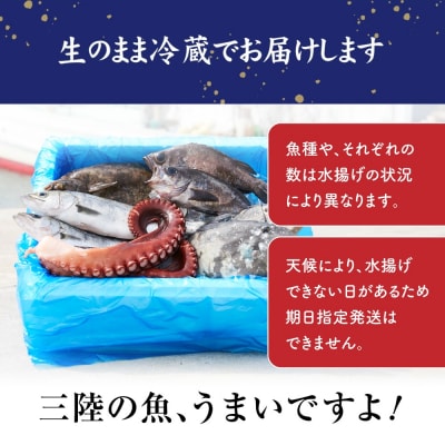 【特選】三陸海の恵み詰め合わせ【下処理済】(2～3人用)