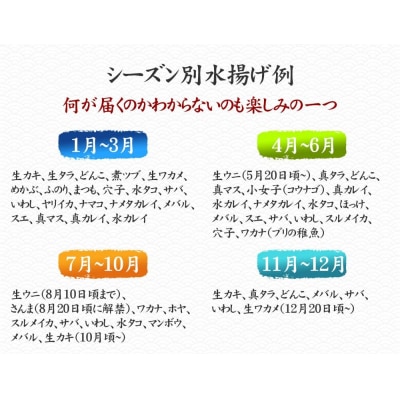 【厳選】三陸海の恵み詰め合わせ【下処理済】(4～5人用)