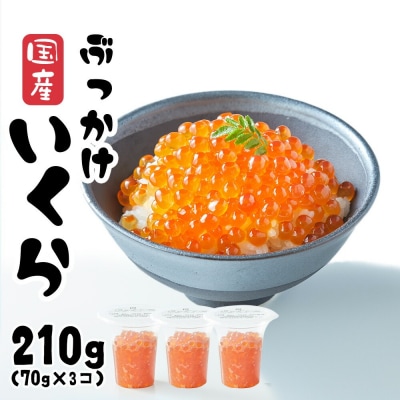 国産 鮭いくら醤油漬け 210g(70g×3個) 小分け おためし