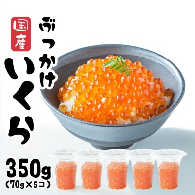 国産 鮭いくら醤油漬け 350g(70g×5個) 小分け おためし