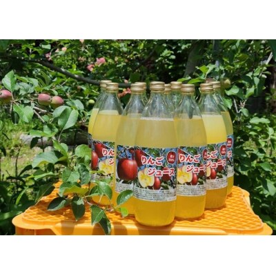 ぎゅーっと搾った りんごジュース 1,000ml×2本 【大和農園】 りんご フルーツ 飲料 飲み物
