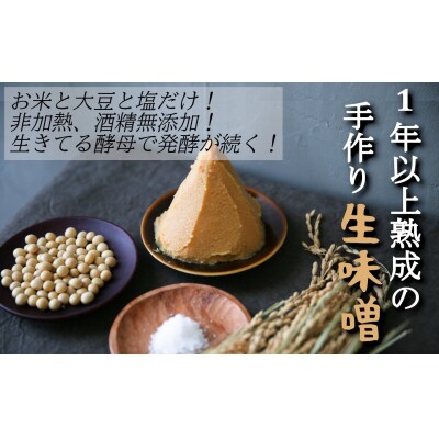 1年以上熟成!寿工房さんの生味噌(500g×3パック)