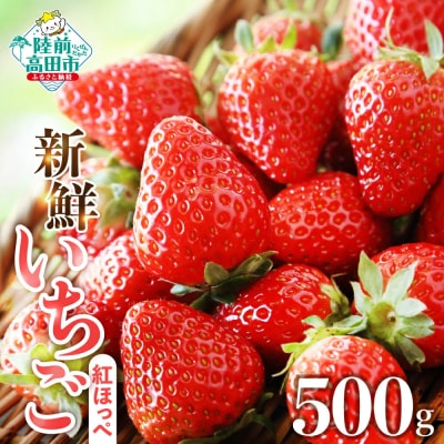 【数量限定】 新鮮いちご〈品種:紅ほっぺ〉 約500g (250g×2パック)