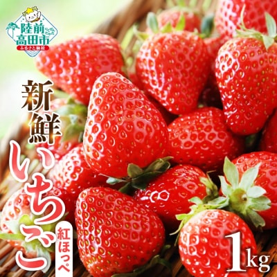【数量限定】 新鮮いちご〈品種:紅ほっぺ〉 約1kg (250g×4パック)