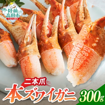 本ズワイガニ 二本爪 300g×1パック かに カニ 蟹 爪肉 冷凍 料理 寿司 海鮮 特別 お試し