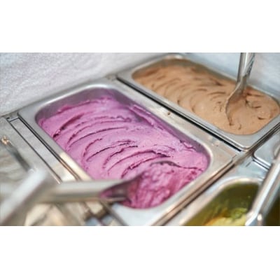 夢の樹ジェラート おまかせ4個セット アイス スイーツ 濃厚 ミルク いちご ギフト