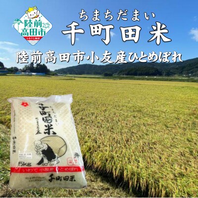令和6年度産 布袋様パッケージのひとめぼれ 千町田米(ちまちだまい) 5kg